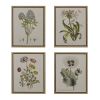 Herbal Botany 4-piece Botanical Illustration Framed Canvas Wall Art Set