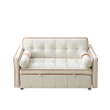 Modern 55.5" Pull Out Sleep Sofa Bed 2 Seater Loveseats Sofa Couch with side pockets, Adjsutable Backrest and Lumbar Pillows for Apartment Office Livi