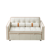 Modern 55.5" Pull Out Sleep Sofa Bed 2 Seater Loveseats Sofa Couch with side pockets, Adjsutable Backrest and Lumbar Pillows for Apartment Office Livi